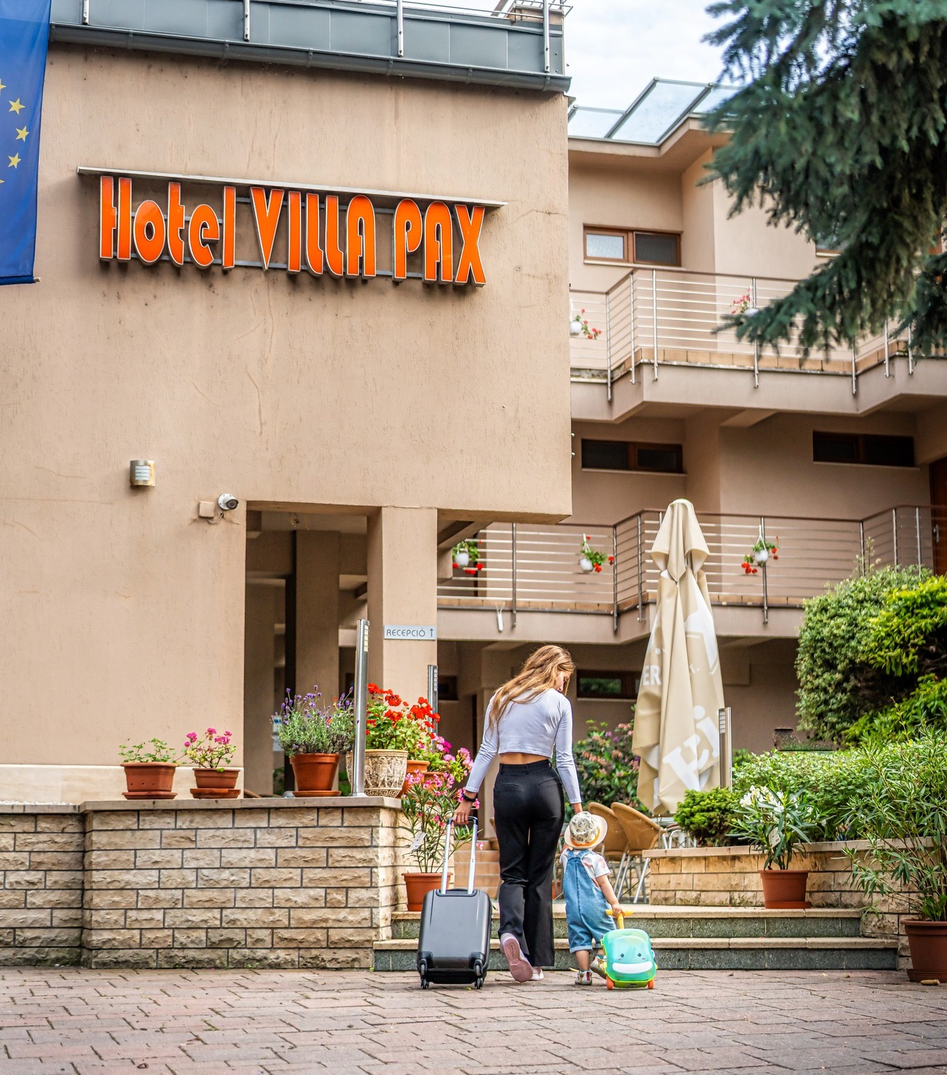 Mediterrán részlet